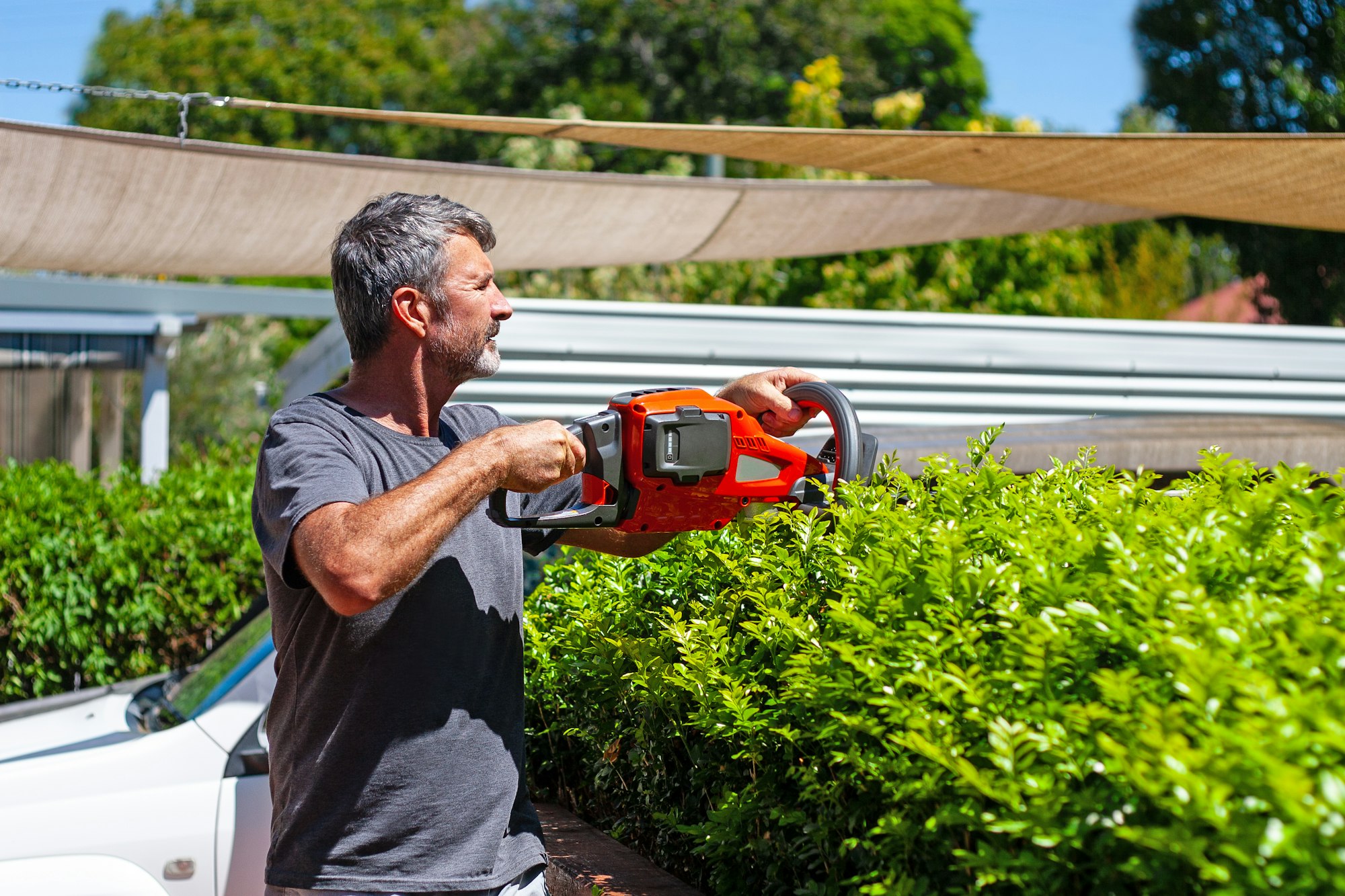 Shrub and Hedge Trimming